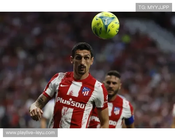 萨维奇状态成谜？分析师马克的困境与突破：从算法失效到亲赴马德里寻答案