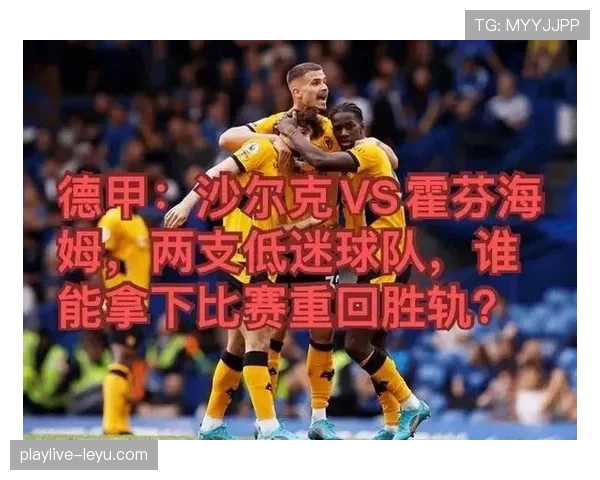 沙尔克新布局：球队结构大调整迎战新赛季