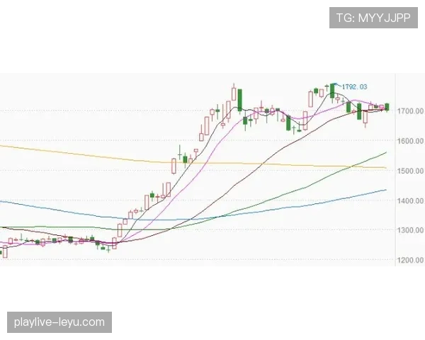 瑞安哥本哈根状态回暖，精彩表现奠定未来坚实基础