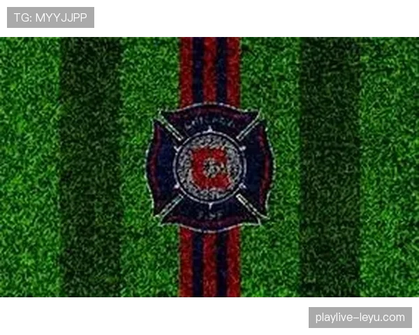 2026年世界杯：北美三国携手筹备，共迎全球足球盛宴