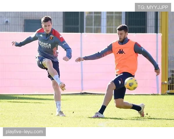 热那亚延续强势进攻态势,剑指新赛季高分突破 热那亚延续强势进攻态势,剑指新赛季高分突破