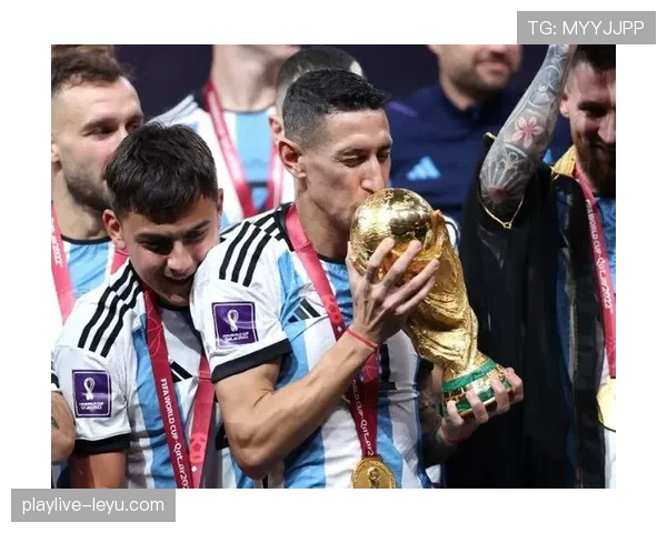 迪马利亚2014世界杯决赛伤缺的关键影响分析