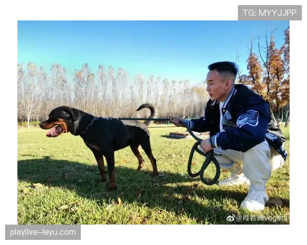 肖若腾随手把训练包扔后座，护膝都能买我一套房，我笑不出来